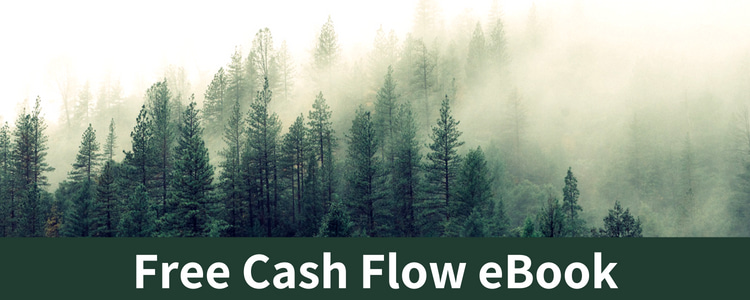 free cash flow ebook