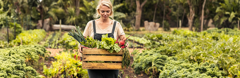 Female entrepreneur outside walking in her garden and holding a basket filled with vegetables. Considering when is the right time to write a business plan?